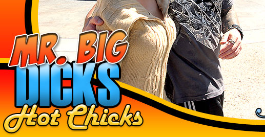 Mr Big Dick's Hot Chicks